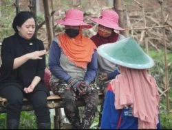 Puan Punya Modal Kuat di Pilpres 2024: Elektabilitas dan Soliditas PDIP