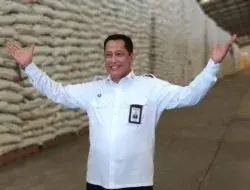 Buwas: Beras Bulog Dijamin Bebas dari Kutu