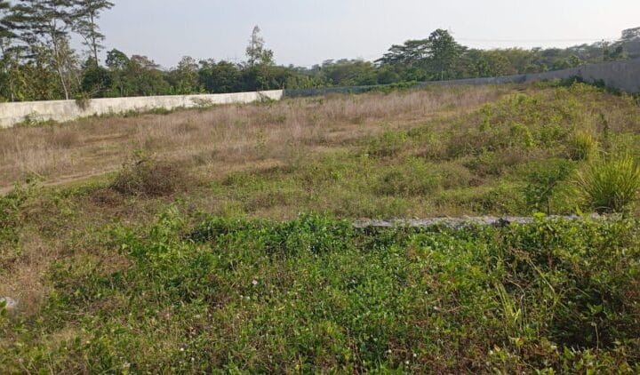 Kades Kemiri Klaten Nyambi Jadi Makelar Tanah