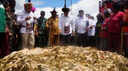 Bakar Batu Bersama Warga, Menko Polkam Djamari Diangkat Jadi Warga Kehormatan Papua Pegunungan