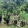 Polda Sumsel Bongkar Ladang Ganja 20 Hektar di Empat Lawang